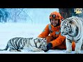 helpless white tiger cub saved from frozen wires – heartwarming rescue