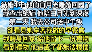 結婚4年 他的白月光離婚回國了 ，我查出絕症 他陪白月光到深夜 ，第二天 我去公司送中午飯 ，卻看見她拿著我做的早餐盒 ，我轉身回家 給他留下一份禮物 ，看到禮物 他這輩子都無法釋懷！