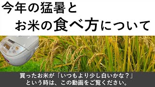 今年の猛暑とお米の食べ方について　（買ったお米が「いつもより少し白いかな？」という時は、この動画をご覧ください）