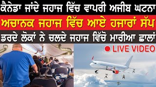 Canada Jande Jahaz Vich Aye Hazara Sap | Aeroplane Miracles | Real Miracle