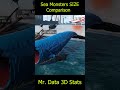 Crazy Sea Monsters SIZE Comparison 2024 || 3D Animation || Bloop Vs El Gran Maja  #bloop #shark