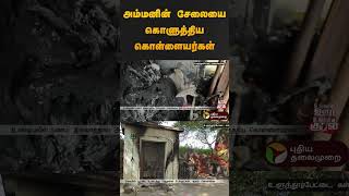 அம்மனின் சேலையை கொளுத்திய கொள்ளையர்கள் | #kallakurichi | #temple | #fire | #shorts