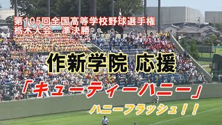 作新学院 応援 「キューティハニー」 2023夏 第105回高校野球栃木大会 作新学院×青藍泰斗