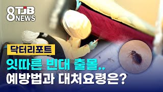 [닥터리포트]잇따른 빈대 출몰..예방법과 대처요령은?｜ TJB 대전·세종·충남뉴스