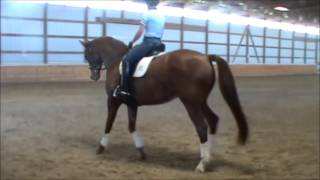 USDF Region 2 Adult Clinic Application