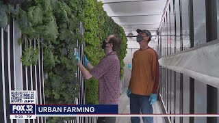 'Second City Greens': Lockport business provides healthy options to community