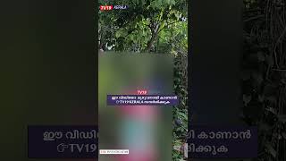 അവർ ഇവിടുന്ന് കരഞ്ഞു കൊണ്ടാണ് പോയത്...Jisha News Perumbavoor Kerala latest