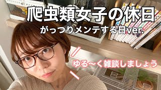 【Vlog】爬虫類女子の休日🧒🏼🦎がっつりメンテする日ver.