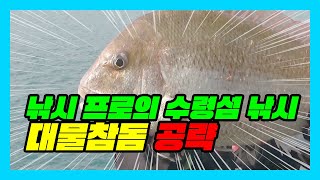 ep.83 낚시 프로가 알려주는 수령섬 대물참돔!!