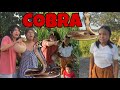 COBRA |FUNNY TIKTOK COMPILATION |ROMEO MORENO