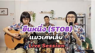 ยืนหนึ่ง ( Stob ) - แมวเศษเล็บ ( Live Session )