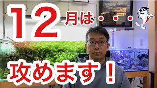 【報告】12月のYouTube更新について