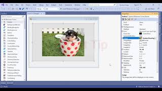 c++/cli windows forms (button Image property) visual studio code