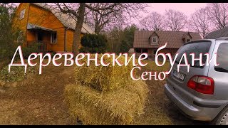 Деревенские будни. Привезли сено. Почему у Марьяны нет жеребят?. Ответы на различные игры в социальных сетях Деревенские будни. Привезли сено. Почему у Марьяны нет жеребят?. Ответы на различные игры в социальных сетях