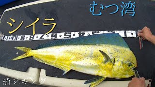 【むつ湾】船で青物釣り！初夏編【ジギング】