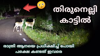 തിരുനെല്ലി കാട്ടിലൂടെ ഒരു രാത്രി യാത്ര / Wayanad Thirunelli Forest Night Travel/Mubashir Vlog