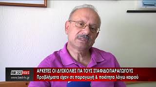 ΚΥΡΙΑΚΟΠΟΥΛΟΣ ΣΤΑΦΙΔΑ ΚΑΤΑΣΤΑΣΗ ΠΑΡΑΓΩΓΗ