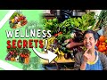 The Best Healthy Vegetables For Weight Loss | PROTEIN Vegetables You NEED to START eating NOW!