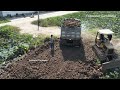 New Project 5 Ton Truck Unloading Dirt And Mini Dozer  Use Power Pushing Dirt Filling Pond