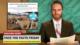 PETA On Bakra Eid Animal Sacrifice - Face The Facts Friday