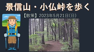 【散策】底沢バス停から小仏峠・景信山を歩く（2023年5月21日）