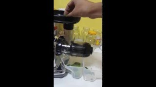 Juicing Wheatgrass using Omega 8006