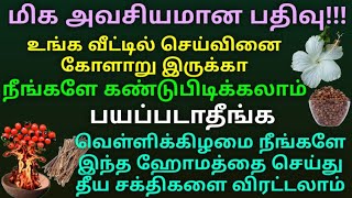 செய்வினை நீங்க பரிகாரம் | செய்வினை கோளாறு விரட்டியடிக்க இதை செய்ங்க #seivinaikolaruneenga