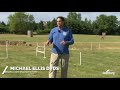 michael ellis talks about dog training