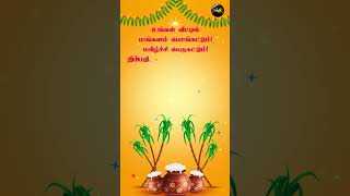 அன்புடன் இனிய தைப்பொங்கல் நல்வாழ்த்துக்கள் 🌾 | Pongal Wishes