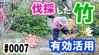 伐採した竹を使って山道？階段をつくり有効活用する！トンネルDIY Vol.2