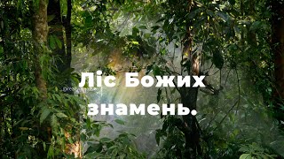 Ліс Божих знамень. Чуттєва історія про віру та надію.