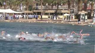 open water swimming - world cup Eilat 2013 - Man start