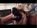 How to apply moleskin padding to a German shepherd's ear How to apply moleskin padding to a German shepherd's ear