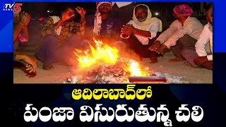 The cold is clawing in Adilabad Cold Weather In Adilabad | TV5 News Digital