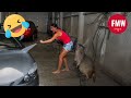 Funny & Hilarious People's Life 😂 #220 - Try not to Laugh | Instant Regret Fails Compilation 2024