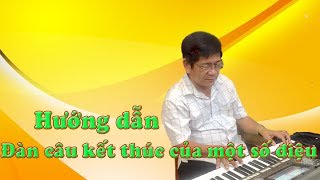 Hướng dẫn đàn câu kết thúc của một số điệu