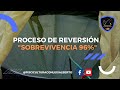 Resultados Reversión un Éxito 