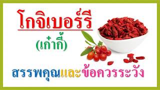 โกจิเบอร์รี(เก๋ากี้) : สรรพคุณและข้อควรระวัง