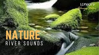 Relaxing nature sounds river sounds for sleeping | soothing water sounds for relaxing,Lomboks Nature