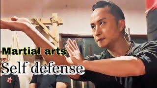 30 Wing Chun Self Defense Techniques martial arts instruction