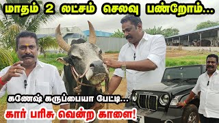 Ganesh Karuppaiya -வின் வெறித்தனமான Jallikkattu காளைகள் |ஒரே இடத்தில் 40 -க்கும் அதிகமான காளைகள்!