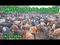 Ranebennur Cow Market || ರಾಣೇಬೆನ್ನೂರ್ ಆಕಳು ಮಾರುಕಟ್ಟೆ || Every Sunday Morning market ||