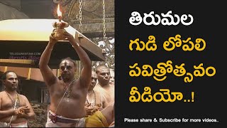 Tirumala Sri Venkateswara Swamy Temple Visuals of Pavithrotsavam