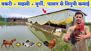 ऐसा अनोखा फार्म आपने नहीं देखा होगा | Desi poultry farming + Fish farming + Goat farming