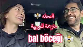 نسليهان و قادير يغنون اغنية تركية( النحله 🐝) مترجمة Neslihan Atagül - Kadir Doğulu - bal böceği