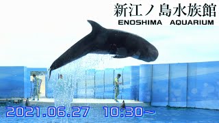 ◆えのすい　きずな（2021．06．27）10：30~ ◆【新江ノ島水族館】【4K60P】