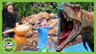 Dinosaur at the Pool with Baby T-Rex | T-Rex Ranch Adventures | Kids Songs | Moonbug Kids