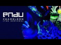 Chameleon Pnau Lyrics | ATP Music
