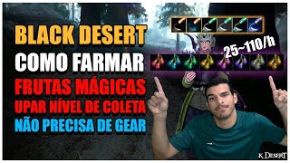 O MELHOR SPOT PRA FARMAR FRUTAS MÁGICAS E XP DE COLETA - BLACK DESERT