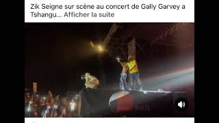 Zik Seigne au concert de gally garvey terres boudha djili